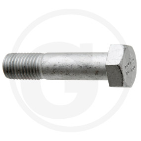Schraube 5Ls55X25-10 Granit 56017 3014370